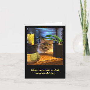 Humore Birthday Wish Karte