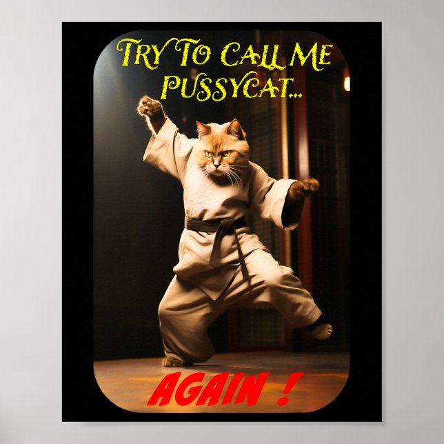 Humore Karate Theme Poster (Vorne)