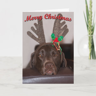 Humorer Weihnachtsmann mit Glitzer Antler Feiertagskarte