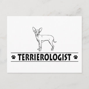 Humoriges Russisches Spielzeug Postkarte