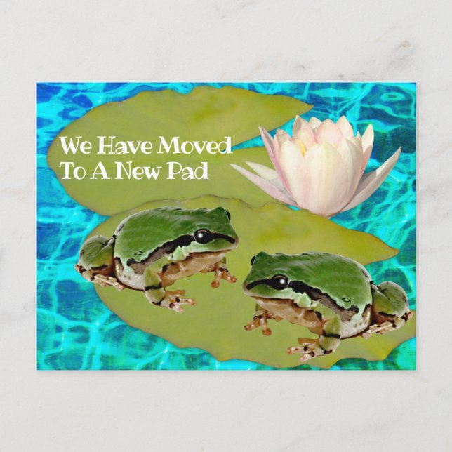 Humorische Frösche Lilies Pad Wir bewegten Ankündi Postkarte (Vorderseite)