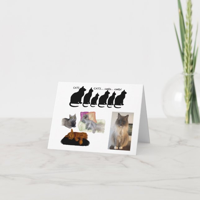 Humorischer Gedanke über Katzen Karte (Vorderseite)
