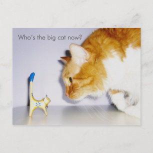 Humoristische "Wer ist jetzt die große Katze?"-Pos Postkarte