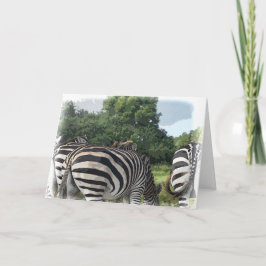 Humoristisches Zebra hinter sich Karte