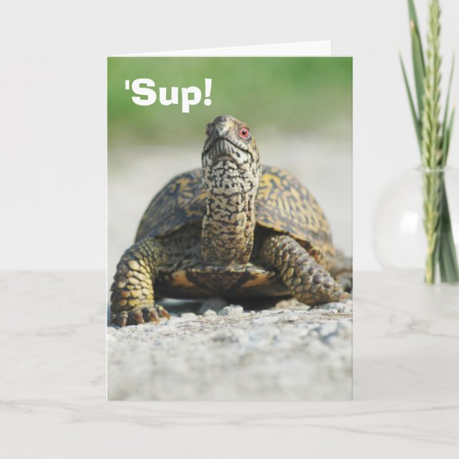 Humorose Box Turtle Grußkarte Karte (Vorderseite)