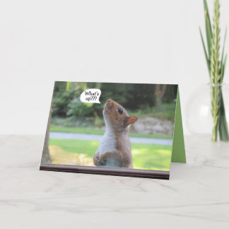 Humorose Eichhörnchen Geburtstagskarte Karte