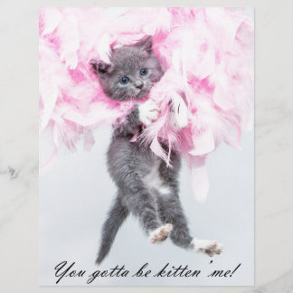 Humorose Niedlich Funny Cat