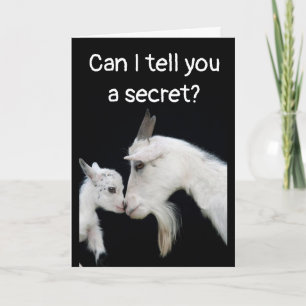 HUMOROUS "BELATED" GEBURTSTAG KEIN HINTERN DARÜBER KARTE