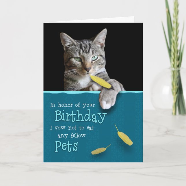 Humorous Birthday Card from the Naughty Cat Karte (Vorderseite)