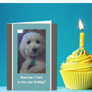 Humorous, fun belated birthday card karte