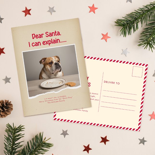 Humorous Funny Dog Pet Family Christmas Postcard Postkarte (Von Creator hochgeladen)