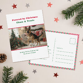 Humorous Funny Pet Dog Photo Christmas Postcard Feiertagspostkarte