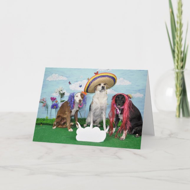Humorous greeting card, Foto von 3 dogs, any theme Karte (Vorderseite)