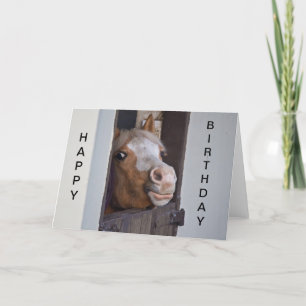 Humorous Horse Happy Birthday Card Karte