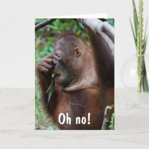 Humorous Senior Citizen Birthday Karte