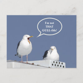 Humorous Yelling Seagull Funny Post Card Postkarte