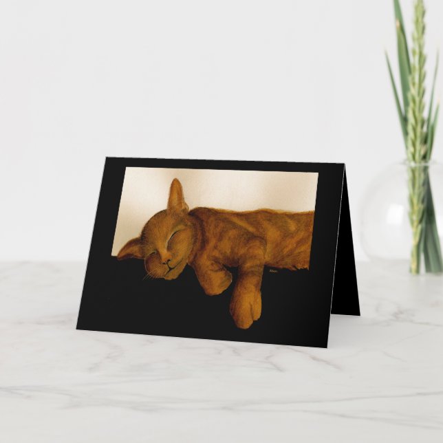 Humors Cat Nickerchen Geburtstagskarte Karte (Vorderseite)