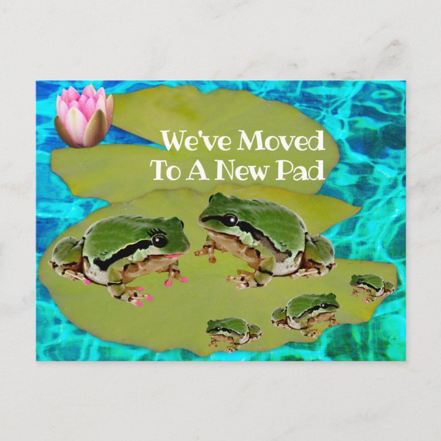 Humorvolle Froschfamilie auf Lily Pad, die wir bew Postkarte (Vorderseite)