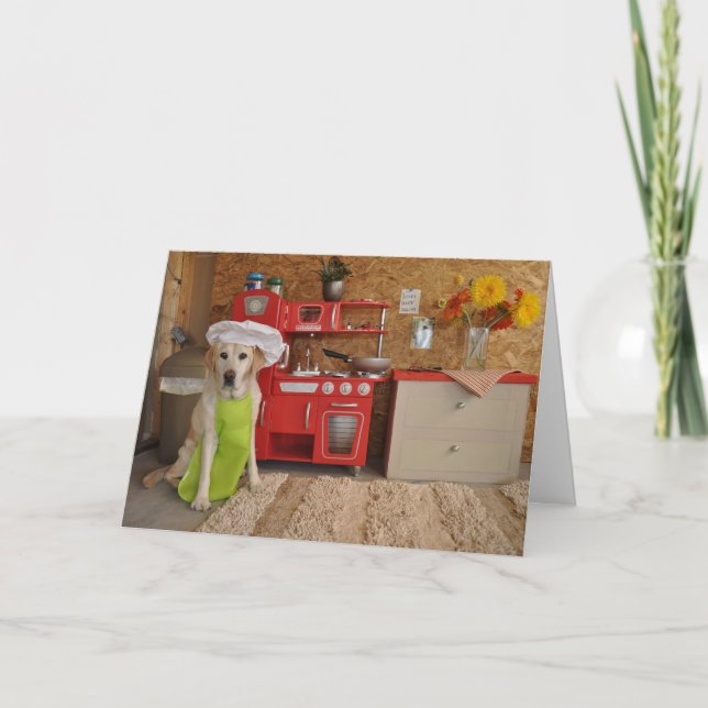 Humorvolle Geburtstagskarte, Hund gekleidet als Karte (Vorderseite)