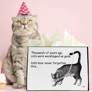 Humorvolle graue launische Katze Egyptian Mau Große Geschenktüte