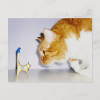 Humorvolle Katze Staring bei der hölzerne Kitty St Postkarte