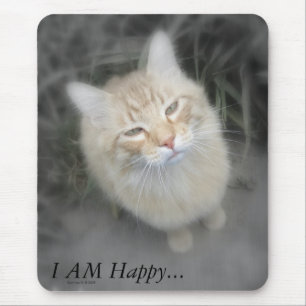 Humorvolle orange Katze Mousepad