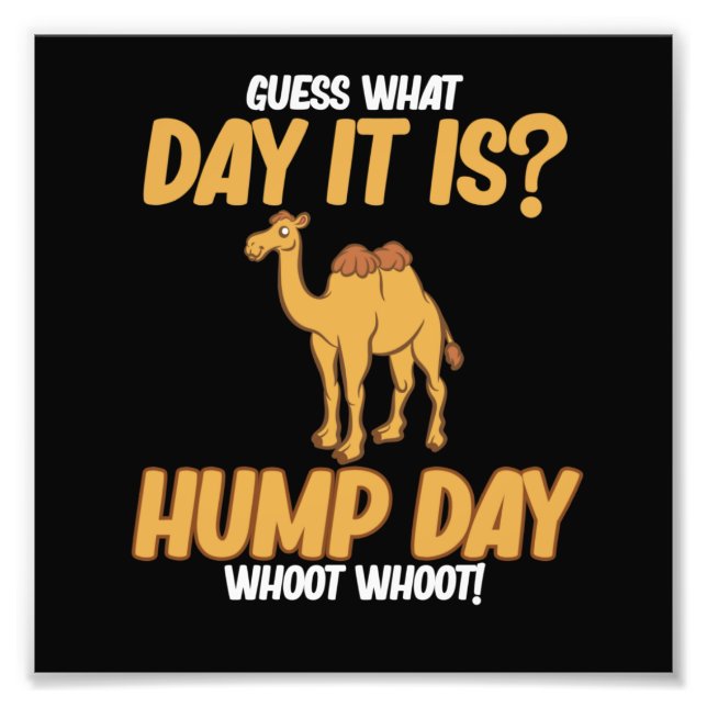 Hump Day Camel Animal Lover Camels Pet Owner Graph Fotodruck (Vorne)