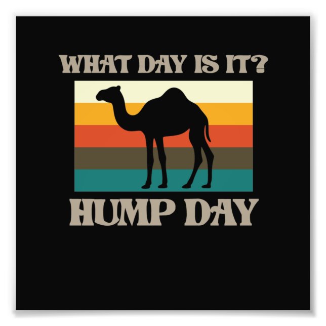 Hump Day Camel Animal Lover Camels Pet Owner Graph Fotodruck (Vorne)