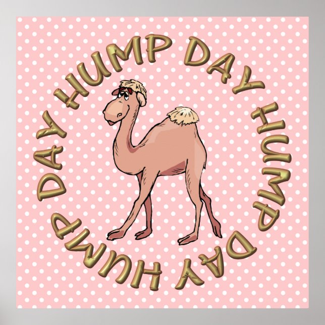 Hump Day Camel Art Poster (Vorne)