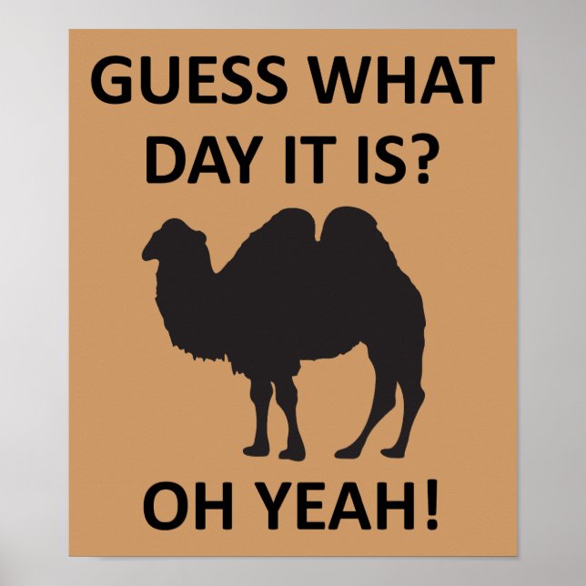 Hump Day Camel Funny Mittwoch Poster-Zeichen Poster (Vorne)
