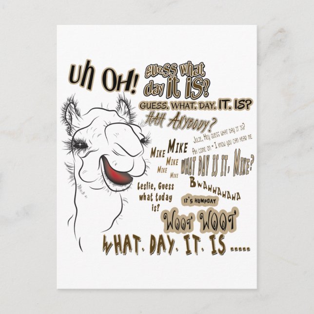 Hump Day Camel Postkarte (Vorderseite)