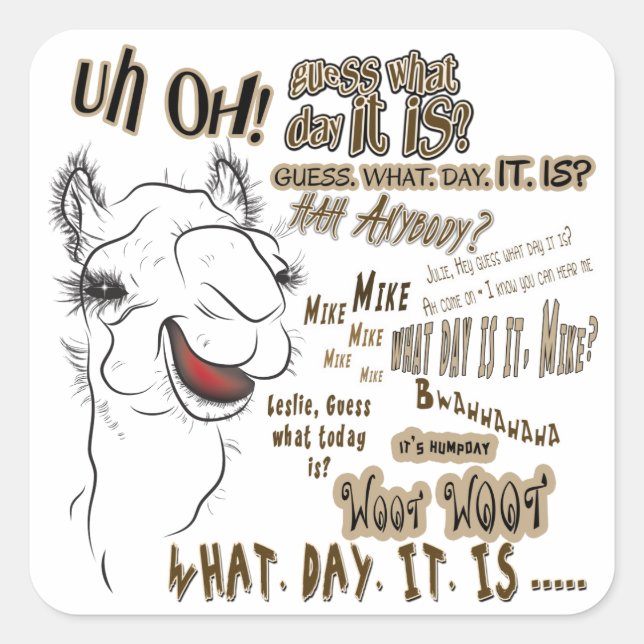 Hump Day Camel Quadratischer Aufkleber (Vorderseite)