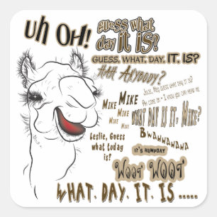 Hump Day Camel Quadratischer Aufkleber