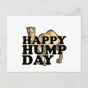 Hump Day Camel T Shirts M.png Postkarte
