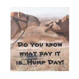 Hump Day Camels Notizblock
