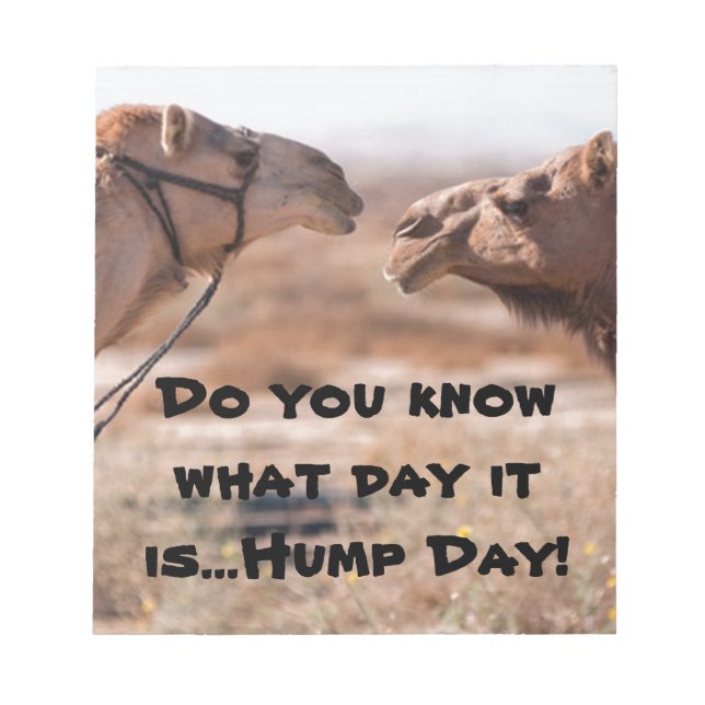 Hump Day Camels Notizblock (Vorderseite)