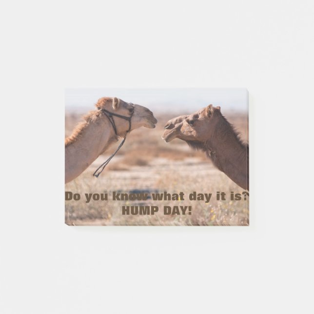 Hump Day Camels Post-it Klebezettel (Vorderseite)