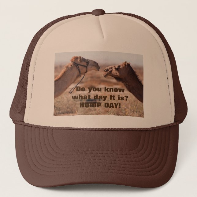 Hump Day Camels Truckerkappe (Vorderseite)