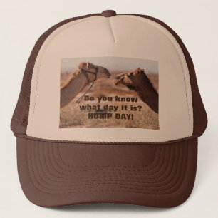 Hump-Day-Kamele Truckerkappe