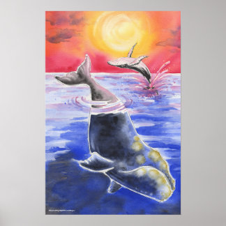 Humpback Right Whale Sonnenuntergang Poster