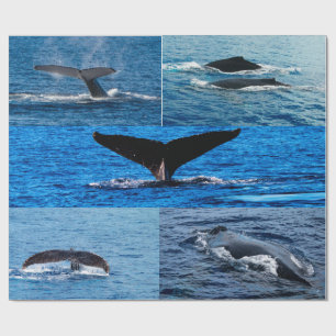 Humpback Wal Geschenkpapier