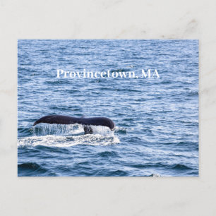 Humpback Wal Postcard Postkarte