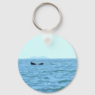 HUMPBACK WALE MACKAY QUEENSLAND AUSTRALIEN SCHLÜSSELANHÄNGER