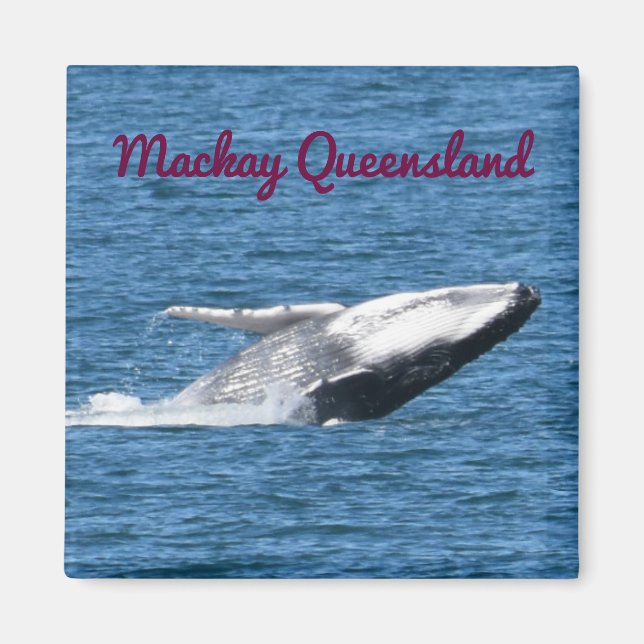 HUMPBACK WALE SCHWANZ MACKAY QUEENSLAND AUSTRALIA MAGNET (Vorne)