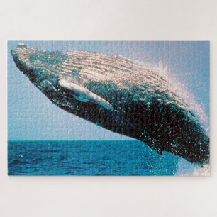 Humpback Whale Alaska Puzzle