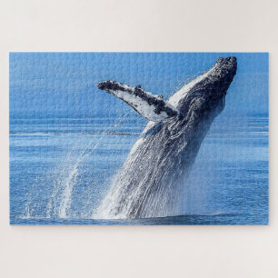 Humpback Whale Alaska Puzzle