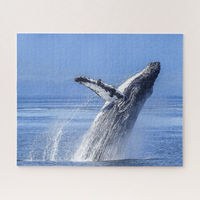 Humpback Whale Alaska Puzzle (Horizontal)