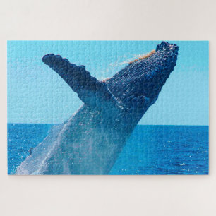 Humpback Whale Alaska Puzzle