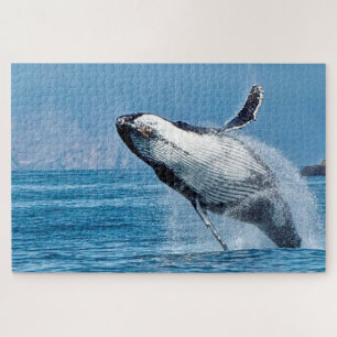 Humpback Whale Alaska Puzzle