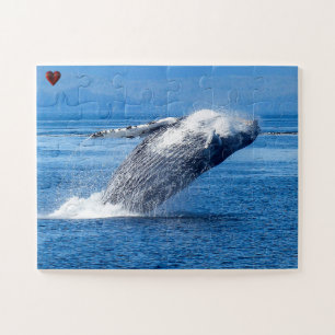 Humpback Whale Alaska Puzzle